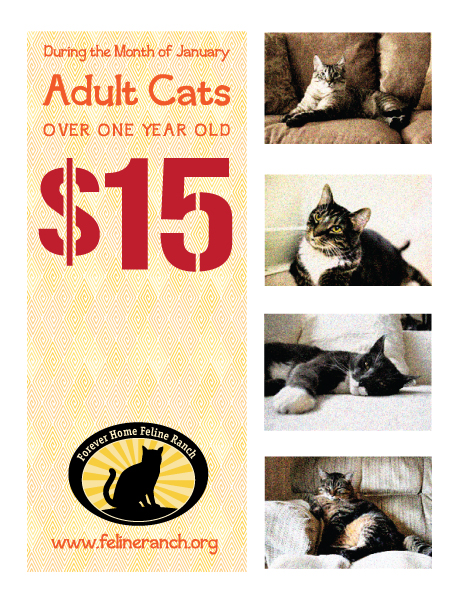 cats 15